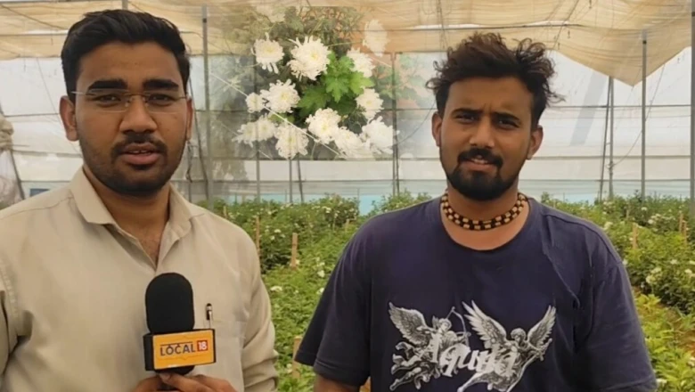नौकरी छोड़ खेती को बनाया करियर: स्टार व्हाइट फूल की खेती से सालाना 30 लाख की कमाई, युवा किसान चंदा यादव बने प्रेरणा