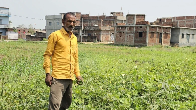 सफलता की कहानी: बिना अपनी जमीन के जमुई के साकेंद्र ने रचा कीर्तिमान, एक ही खेत में छह सब्जियां और सालाना 10 लाख की कमाई