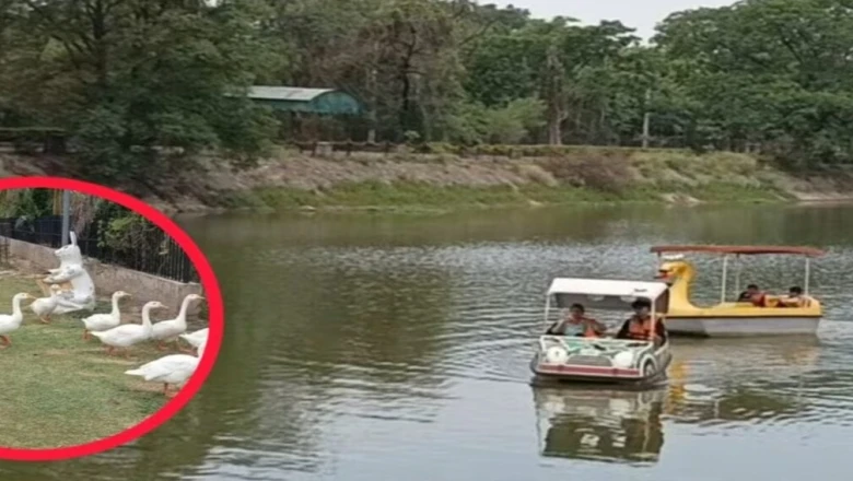 अंबाला की सरोवर झील बनी गर्मी से राहत का ठिकाना, पर्यटक बोले- मिल रहा शिमला जैसा सुकून