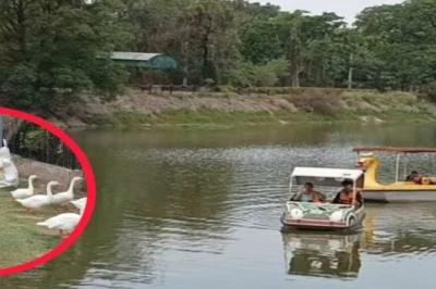 अंबाला की सरोवर झील बनी गर्मी से राहत का ठिकाना, पर्यटक बोले- मिल रहा शिमला जैसा सुकून