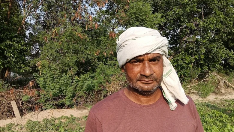 30 दिन में तैयार, बेहतर कमाई: साहुपुरा के किसान बसंत के लिए पालक की 'रौनक' किस्म बनी फायदे का जरिया