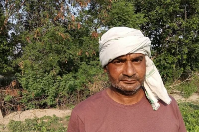 30 दिन में तैयार, बेहतर कमाई: साहुपुरा के किसान बसंत के लिए पालक की 'रौनक' किस्म बनी फायदे का जरिया