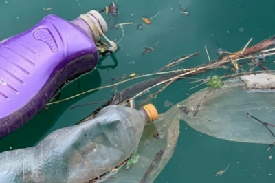 देहरादून के रोवर्स केव में उमड़ी सैलानियों की भीड़, बुनियादी सुविधाओं की कमी से जूझ रहे पर्यटक