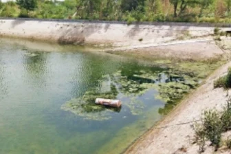 जमशेदपुर का छिपा हुआ नगीना! पहाड़, पानी और हरियाली से सजा यह स्थान बना सैलानियों की पहली पसंद