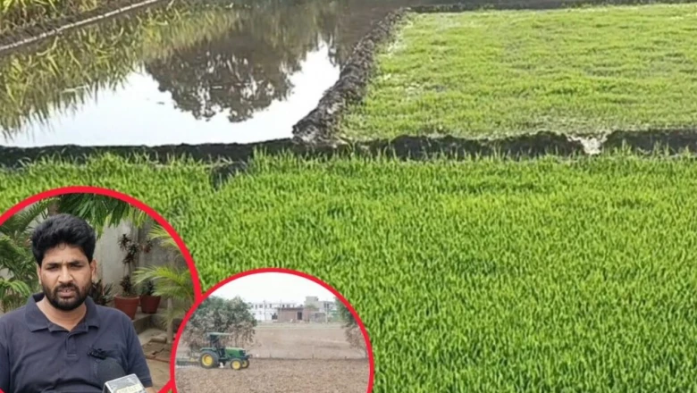 धान की बुवाई से पहले खेतों की जुताई क्यों है बेहद जरूरी? जान लें ये अहम बात