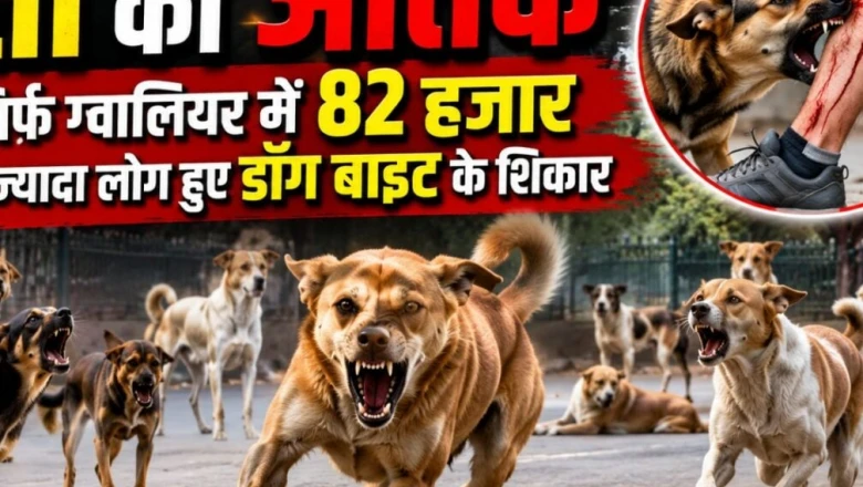 ग्वालियर का अजब गणित: जिले में कुत्ते सिर्फ 5057, पर निगम ने कर दी 5500 की नसबंदी!