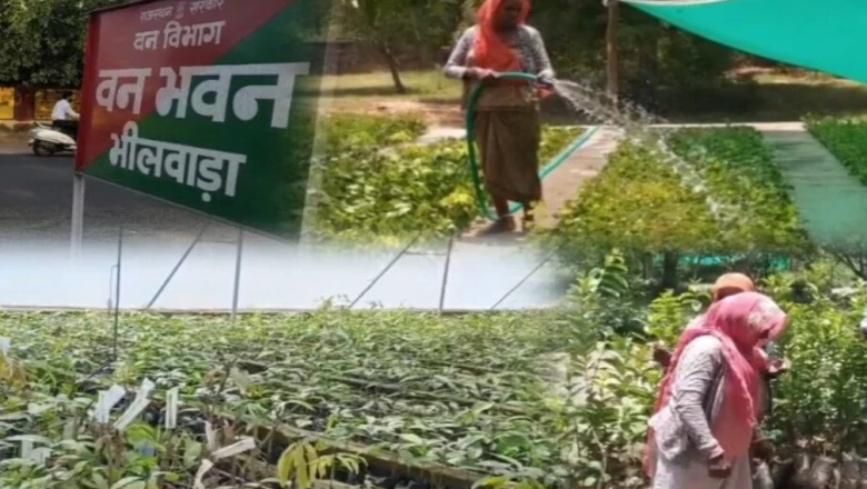 हरियाली की ओर बढ़ता भीलवाड़ा, लाखों पौधों के साथ बड़े वृक्षारोपण अभियान की तैयारी