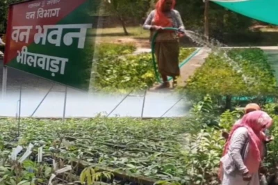 हरियाली की ओर बढ़ता भीलवाड़ा, लाखों पौधों के साथ बड़े वृक्षारोपण अभियान की तैयारी