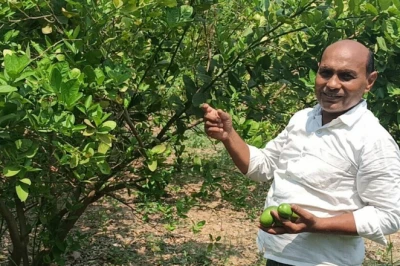 गया के रंजीत की मिसाल! 11 रुपये के नींबू पौधे ने पलटी तकदीर, नीलगाय की मार के बीच कमाए 10 लाख