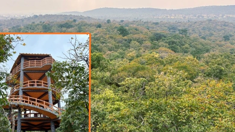 तेलंगाना का नरसापुर जंगल बना हैदराबाद का 'ग्रीन लंग', झरनों और हरियाली के बीच उमड़ रहे सैलानी