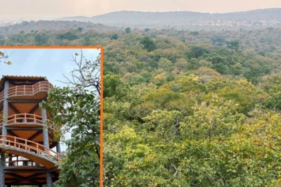 तेलंगाना का नरसापुर जंगल बना हैदराबाद का 'ग्रीन लंग', झरनों और हरियाली के बीच उमड़ रहे सैलानी