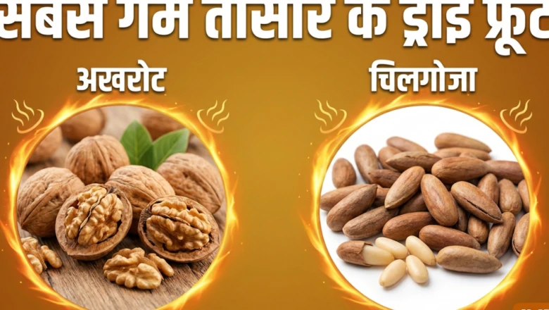 किस ड्राई फ्रूट की तासीर होती है सबसे ज्यादा गर्म, जानें गर्मी में इससे परहेज क्यों जरूरी है