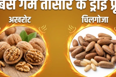 किस ड्राई फ्रूट की तासीर होती है सबसे ज्यादा गर्म, जानें गर्मी में इससे परहेज क्यों जरूरी है
