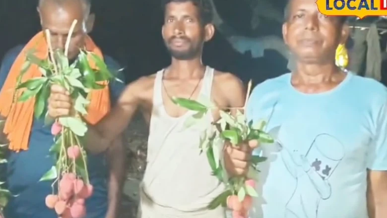 लीची की मिठास ने बदली किसान राजकुमार की तकदीर, लाखों की कमाई और हॉलैंड-ओमान तक पहुंच