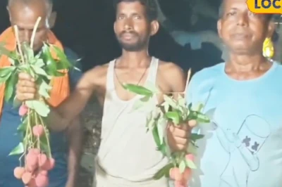 लीची की मिठास ने बदली किसान राजकुमार की तकदीर, लाखों की कमाई और हॉलैंड-ओमान तक पहुंच