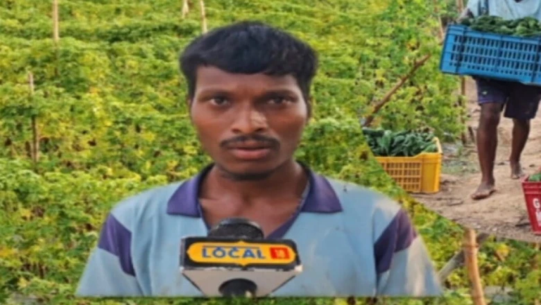 एक लाख की लागत से चार लाख तक की कमाई! करेले की खेती से युवा किसान अजय ने पाई बड़ी सफलता