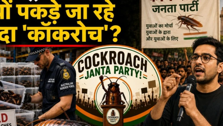 ऑस्ट्रेलिया में जब्त हुए एक लाख जिंदा कॉकरोच, भारत में 'कॉकरोच जनता पार्टी' का तूफान — जानें पूरा माजरा