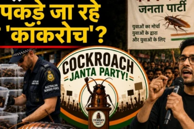 ऑस्ट्रेलिया में जब्त हुए एक लाख जिंदा कॉकरोच, भारत में 'कॉकरोच जनता पार्टी' का तूफान — जानें पूरा माजरा