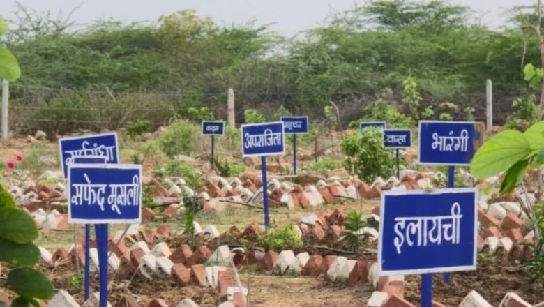 बंजर 172 एकड़ बनी हरियाली की मिसाल, पुलिस जवानों ने रोपे 16 हजार पौधे, उभरा नया ऑक्सीजन हब