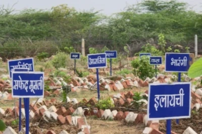 बंजर 172 एकड़ बनी हरियाली की मिसाल, पुलिस जवानों ने रोपे 16 हजार पौधे, उभरा नया ऑक्सीजन हब