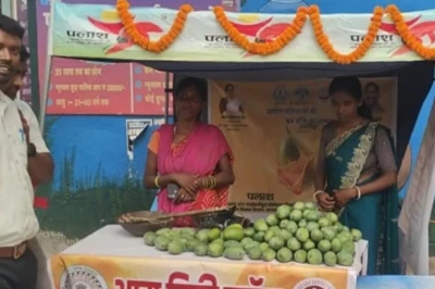 मनरेगा से लगा आम का बाग बना मनौती देवी की किस्मत का सितारा, सीधी बिक्री से रोज हो रही अच्छी आमदनी