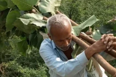 खैरथल का 'ट्री-मैन' सुरेंद्र: 46 साल से बिना फोन और वाहन के लगा रहे हरियाली की मुहिम, बदल दी पहाड़ों की सूरत