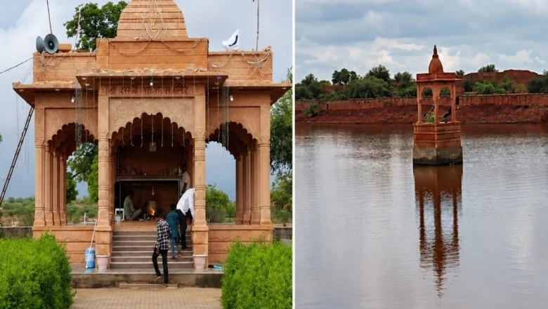 न पेड़ कटते हैं न चढ़ती है बाजार की मिठाई: 820 साल पुराने नागौर के इस मंदिर का अनोखा रहस्य, जहां होती है सांपों की पूजा