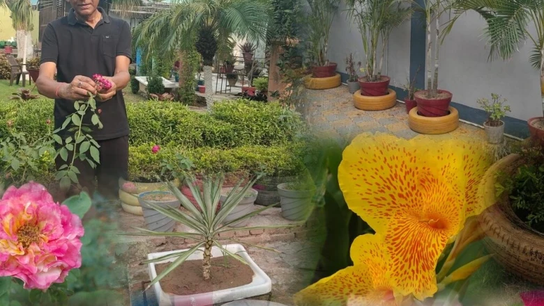 कैंसर को मात देकर हरियाली से जुड़े कोडरमा के 71 वर्षीय शिक्षाविद्, कबाड़ से सजाया 'मीनाक्षी गार्डन'
