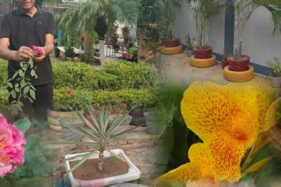 कैंसर को मात देकर हरियाली से जुड़े कोडरमा के 71 वर्षीय शिक्षाविद्, कबाड़ से सजाया 'मीनाक्षी गार्डन'