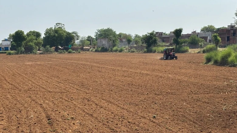 खैरथल-तिजारा: बाजरे की बुवाई में आई तेजी, कपास और ग्वार से किसानों का घटता रुझान