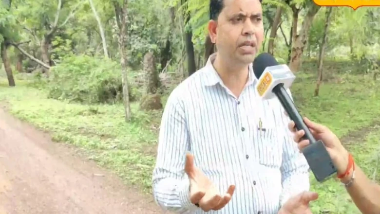 हर 3 साल में करें यह एक काम, बंजर खेत भी देगा बंपर पैदावार, जानें कृषि विशेषज्ञ की राय