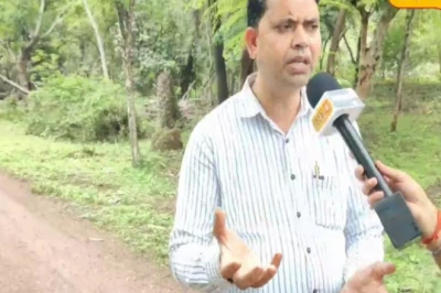 हर 3 साल में करें यह एक काम, बंजर खेत भी देगा बंपर पैदावार, जानें कृषि विशेषज्ञ की राय