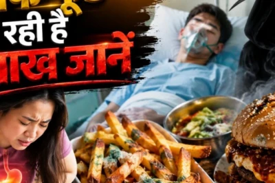 हर साल 15 लाख जानें ले रहा है खराब भोजन, 86 करोड़ लोग पड़ते हैं बीमार: WHO रिपोर्ट के चौंकाने वाले आंकड़े