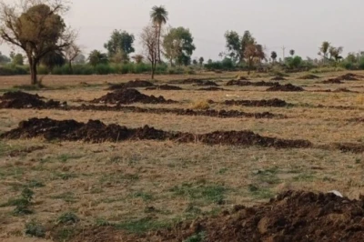 खेती की सलाह: जून-जुलाई में डालें गोबर की जैविक खाद, कम खर्च में पाएं हरी-भरी फसल और दोगुना उत्पादन