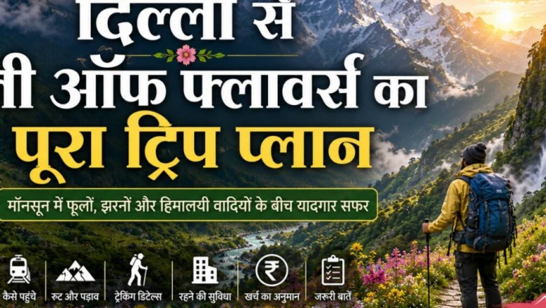दिल्ली से वैली ऑफ फ्लावर्स की पूरी यात्रा योजना: खर्च, ट्रेकिंग रूट और घूमने का सही समय जानें