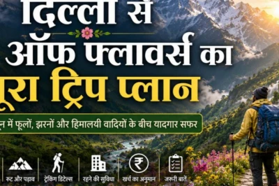 दिल्ली से वैली ऑफ फ्लावर्स की पूरी यात्रा योजना: खर्च, ट्रेकिंग रूट और घूमने का सही समय जानें