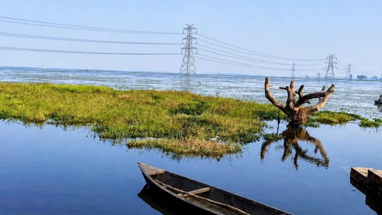बलिया का 'सुरहा ताल' बना अंतरराष्ट्रीय 'रामसर साइट', ओपन एयर थिएटर और बर्ड टावर से बदलेगी तस्वीर
