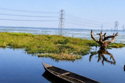 बलिया का 'सुरहा ताल' बना अंतरराष्ट्रीय 'रामसर साइट', ओपन एयर थिएटर और बर्ड टावर से बदलेगी तस्वीर