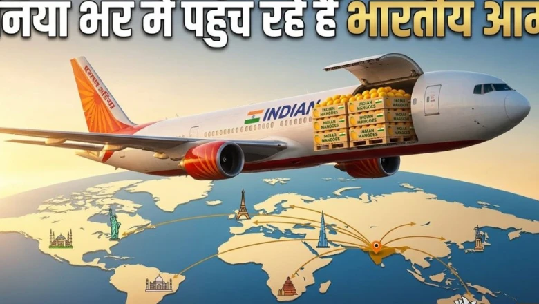 एयर इंडिया की उड़ानों से विदेश पहुंच रहे भारतीय आम, लंदन से न्यूयॉर्क तक बढ़ी मांग