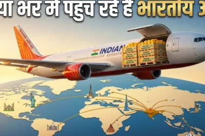एयर इंडिया की उड़ानों से विदेश पहुंच रहे भारतीय आम, लंदन से न्यूयॉर्क तक बढ़ी मांग