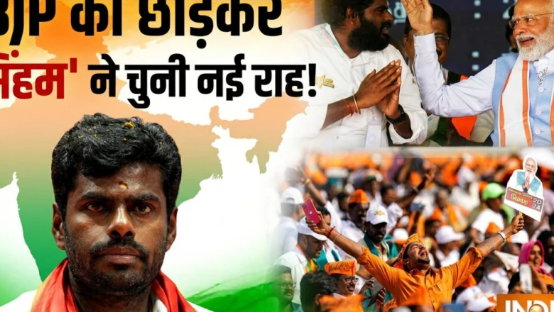 एक्सप्लेनर: बीजेपी छोड़ने के बाद अन्नामलाई का अगला कदम क्या होगा? समझें उनकी मजबूती और मुश्किलें