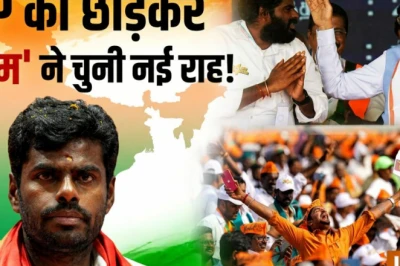 एक्सप्लेनर: बीजेपी छोड़ने के बाद अन्नामलाई का अगला कदम क्या होगा? समझें उनकी मजबूती और मुश्किलें