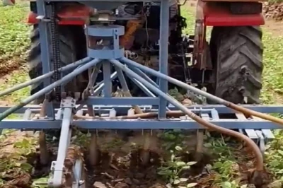 मूंग की खेती: कम लागत में बेहतर मुनाफा, बुवाई से कटाई तक अपनाएं वैज्ञानिक विधियां