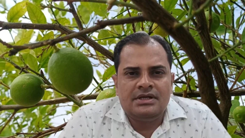 बारहमासी नींबू ने बदली भरतपुर के किसानों की तकदीर, साल के बारह महीने मिल रहा फल और मुनाफा