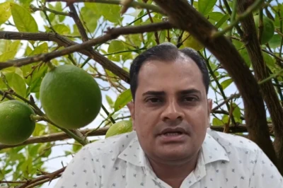 बारहमासी नींबू ने बदली भरतपुर के किसानों की तकदीर, साल के बारह महीने मिल रहा फल और मुनाफा