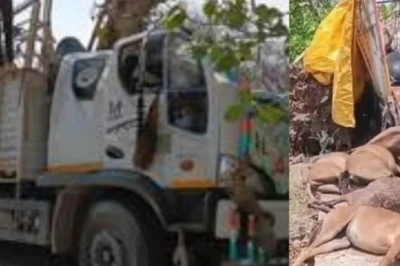 यूपी में दर्दनाक सड़क हादसा: डीसीएम पेड़ से टकराई, एक ही परिवार के 12 लोग घायल, 20 खच्चरों की मौके पर मौत