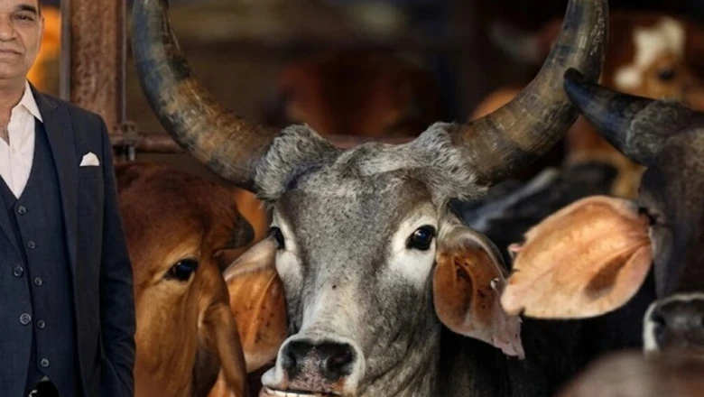 भोपाल गोमांस प्रकरण में नया मोड़: असलम चमड़ा ने अदालत से मांगी सीसीटीवी फुटेज, अब 18 जून को होगी सुनवाई
