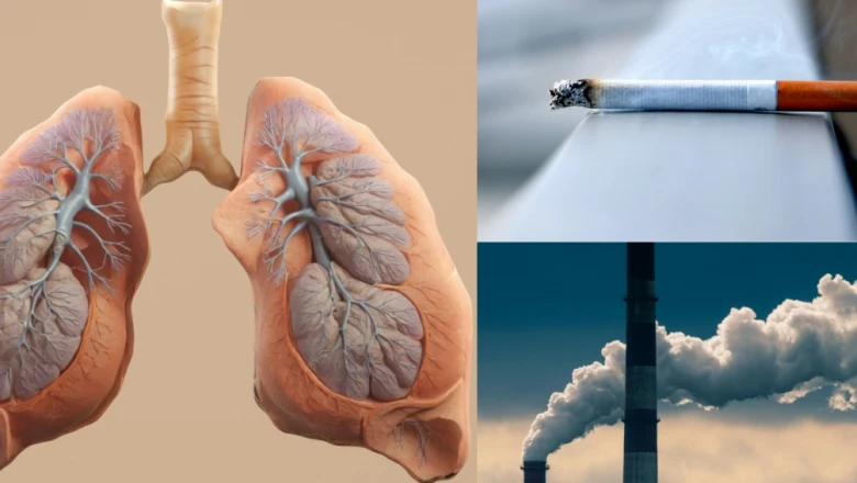 फेफड़ों के लिए ज्यादा घातक कौन — वायु प्रदूषण या धूम्रपान? जानिए विशेषज्ञ की राय
