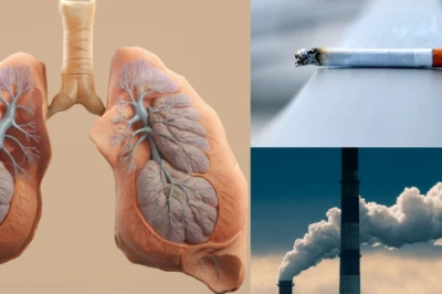 फेफड़ों के लिए ज्यादा घातक कौन — वायु प्रदूषण या धूम्रपान? जानिए विशेषज्ञ की राय