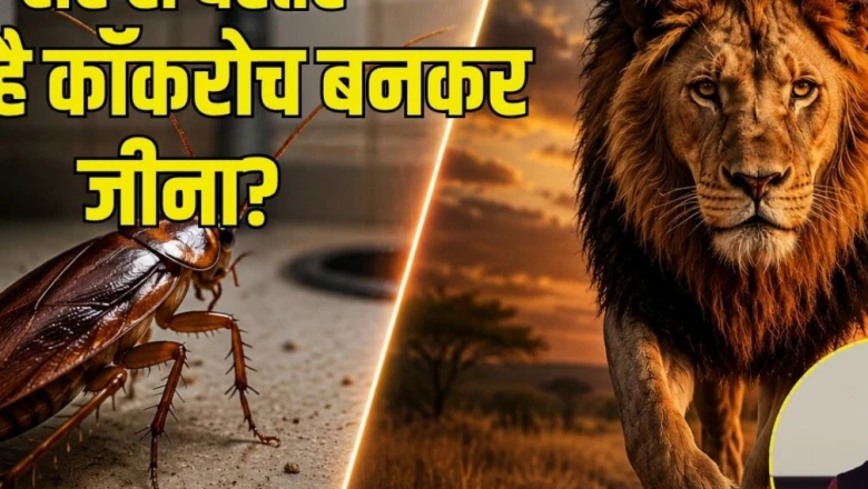 शेर नहीं, कॉकरोच बनिए! कठिन वक्त में डटे रहने का यह मंत्र बदल सकता है आपका जीवन